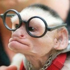 SebastinFran117's avatar